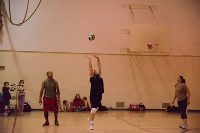 DSC_1784 (Large).JPG